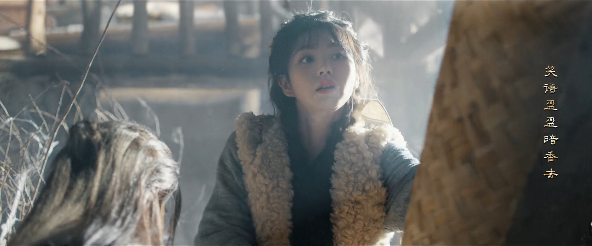 笑语盈盈暗香去